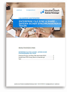 doubleSlash Business Filemanager EFSS Whitepaper